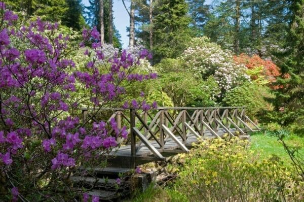 Crarae Gardens